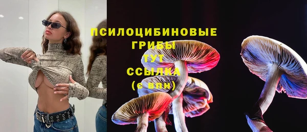apvp Балахна