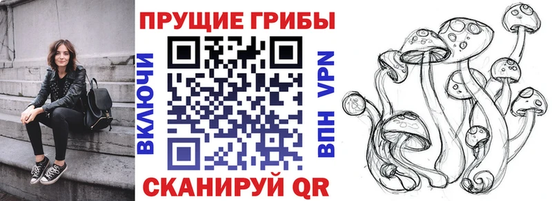 продажа наркотиков  Петрозаводск  Псилоцибиновые грибы Psilocybe 